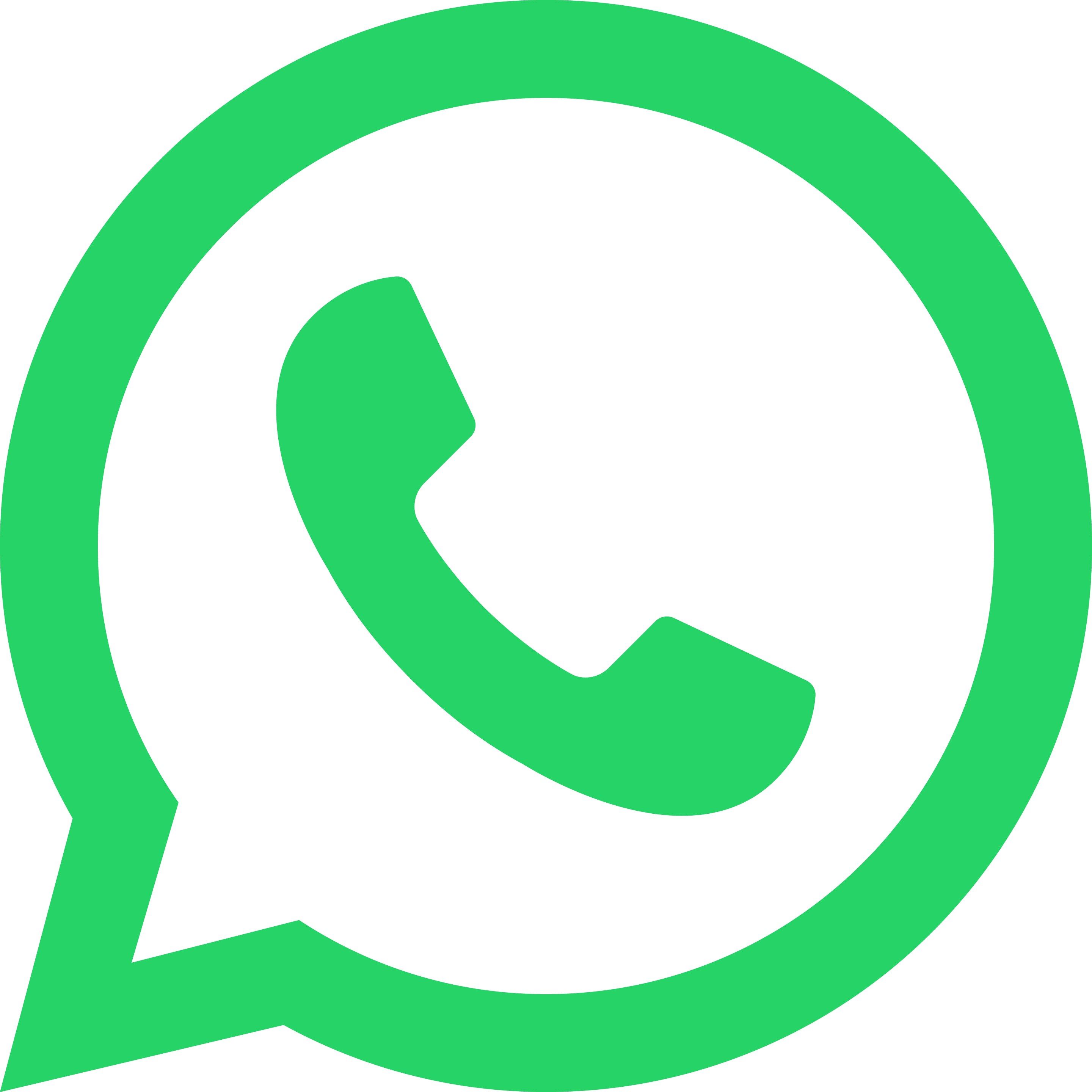 WhatsApp Icon